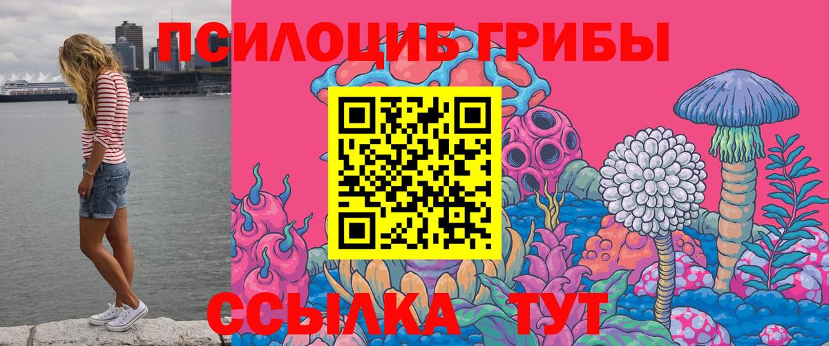 Псилоцибиновые грибы Psilocybe  Вход с VPN  Когалым 